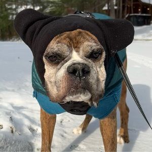 Meet your Posher, Madison